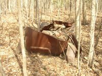 Car in the woods 4.JPG