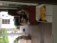 IMG_0447.JPG