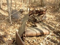 Car in the woods 5.JPG