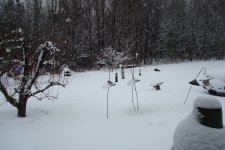 DSC02359.jpg