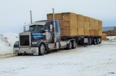 straw  Maerh  5 2012.JPG