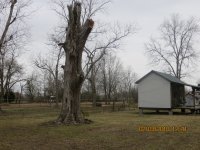 IMG_2569.JPG