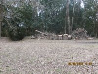 IMG_2570.JPG