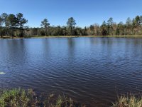IMG_3981.jpg