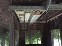 IMG_6868.JPG