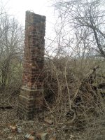 image-480872099.jpg