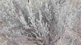 20180329_113601.jpg