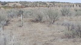 20180329_113544.jpg