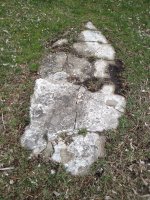 image-569633587.jpg