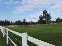IMG_0001.JPG