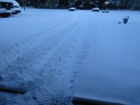 IMG_0060.JPG