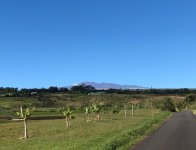 Image1515098605.682659.jpg