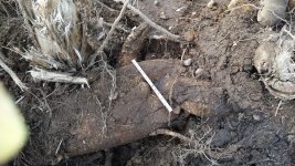 Stump03.jpg