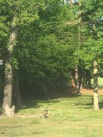 IMG_0324.JPG