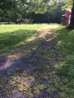 IMG_5530.JPG IMG_5530.JPG