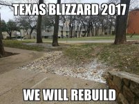 texas blizzard 2017.jpg