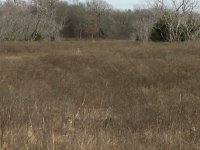 IMG_1235.JPG