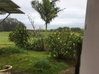 Image1525119555.939329.jpg