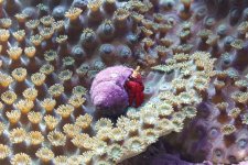 IMG_5497.jpg