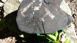 wood02.jpg