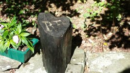 wood03.jpg