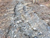 road pic 2.jpg