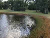 IMG_0085.JPG