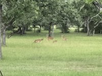 IMG_0100.JPG