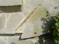 730197-Step 2.JPG