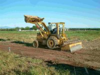 Driveway-removing the turf-small.JPG