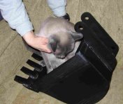 809635-Ringer in 12 inch bucket.jpg