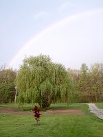 651096-IM000393.JPG