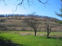 731964-hill.jpg