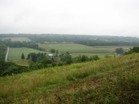 731998-hill3.jpg