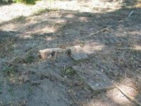 651839-Well.jpg