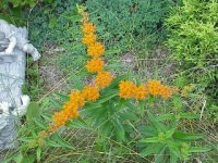 694851-MVC-670F (320 x 240).jpg
