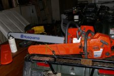 chainsaws 10-05-05 002 (600 x 400).jpg
