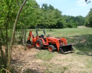 652219-treesout01.JPG