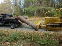 LoadingPine4.JPG