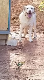 20180806_180608.jpeg