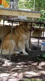 20180806_134400.jpeg