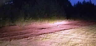 20180521_210151.jpg 20180521_210151.jpg