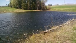 IMG_20180511_104140452.jpg