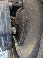 IMG_20180603_140526.jpg