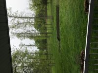 IMG_2722.jpg IMG_2722.jpg