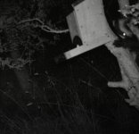 Climber 1.jpg