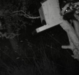 Climber 2.jpg