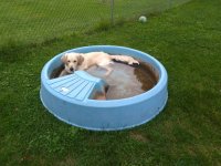 IMG_20180827_104600.jpeg