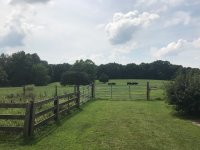 IMG_4719.JPG