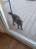20170921_171911.jpeg